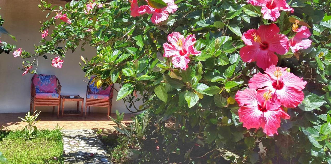 Vida Tropical Bed & Breakfast Alajuela Exterior foto